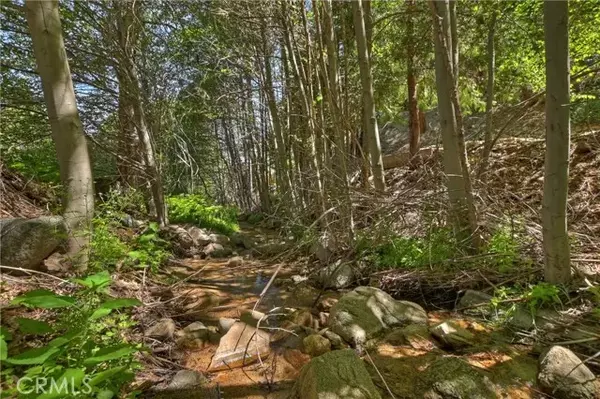 Cedar Glen, CA 92321,29649 Hook Creek