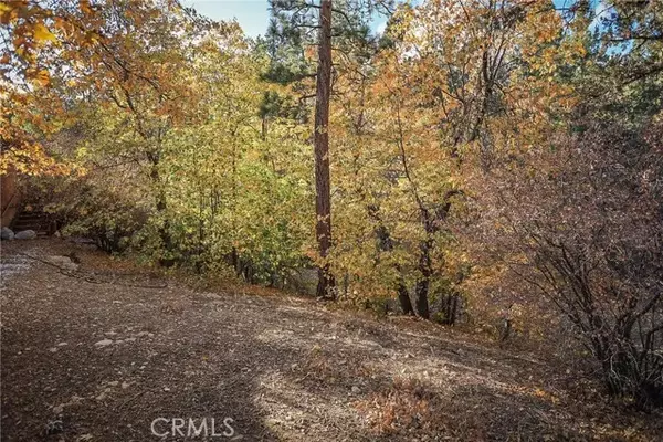 Sugarloaf, CA 92386,498 Pine Lane
