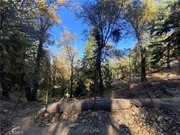 Crestline, CA 92325,24989 Highland