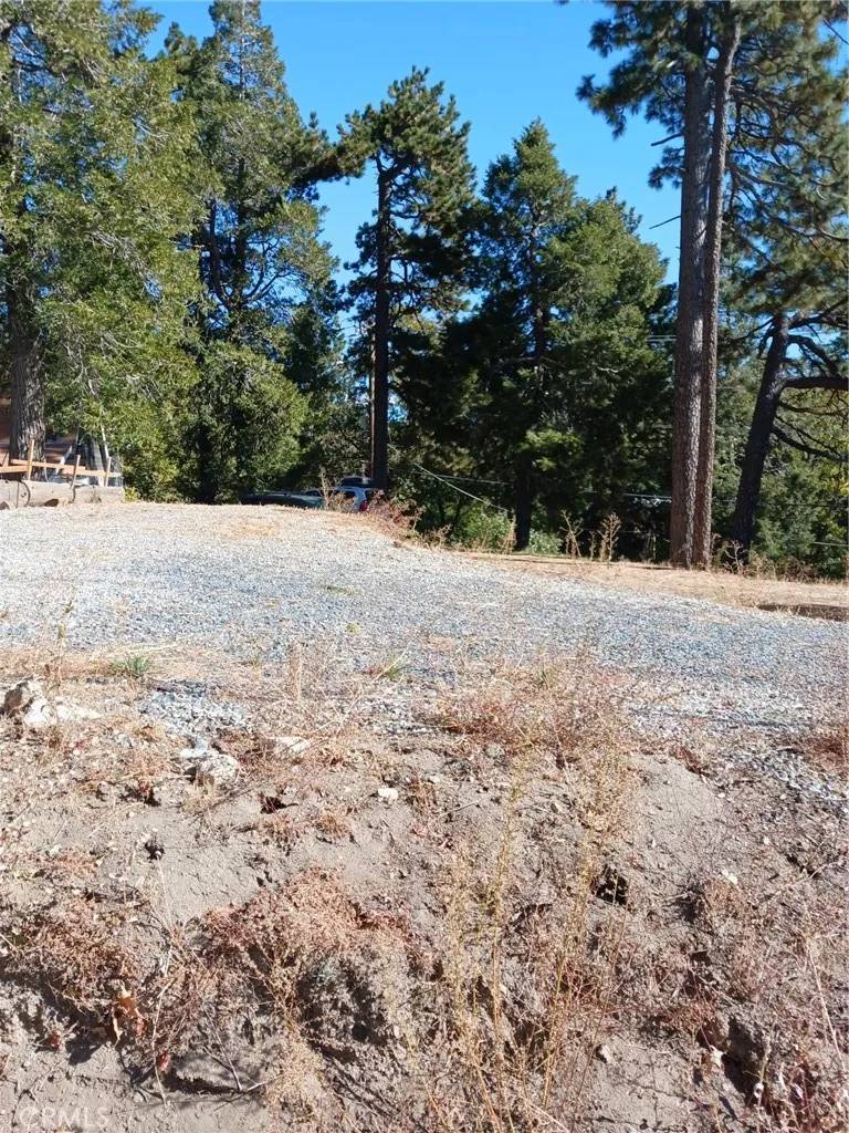 1 Mozumdar, Cedarpines Park, CA 92322
