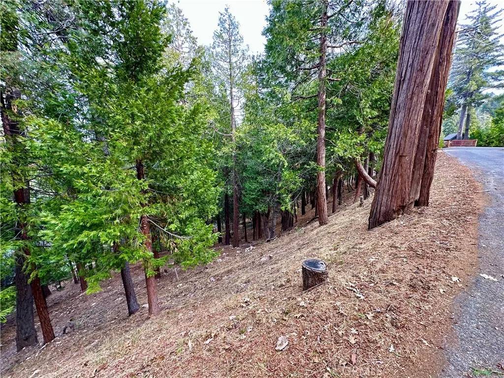 Lake Arrowhead, CA 92352,291 Hillside