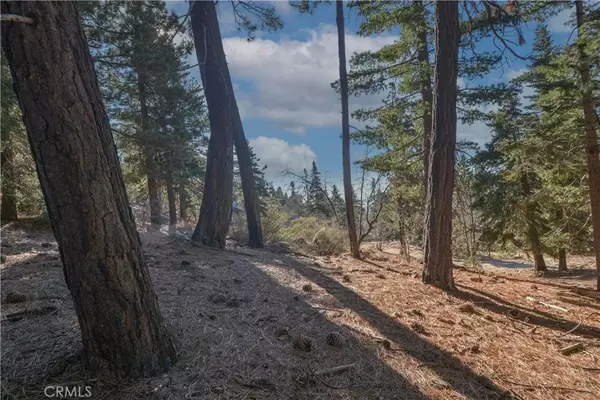 Running Springs, CA 92382,0 Cobblestone