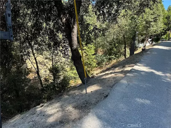 Crestline, CA 92325,24960 Saxon