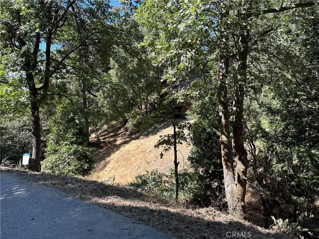 Crestline, CA 92325,24960 Saxon