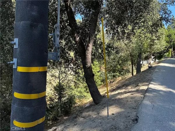 Crestline, CA 92325,24960 Saxon