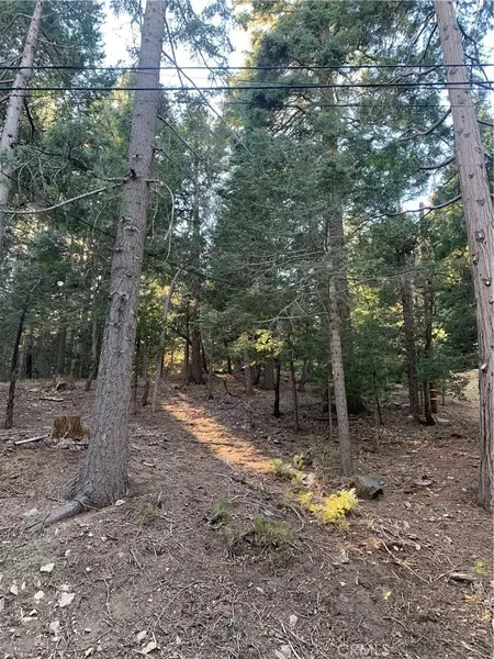 0 Cedarbrook, Twin Peaks, CA 92391