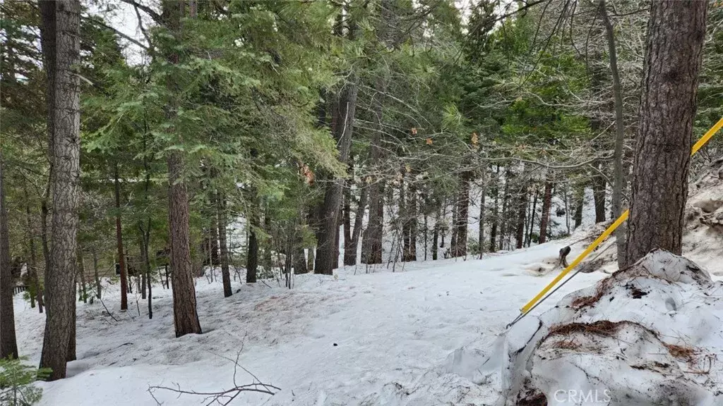 Lake Arrowhead, CA 92352,0 Brentwood