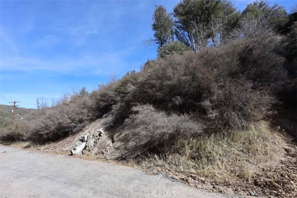 0 Acacia, Cedar Glen, CA 92321