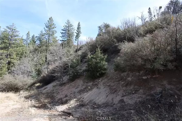 Cedar Glen, CA 92321,0 Acacia
