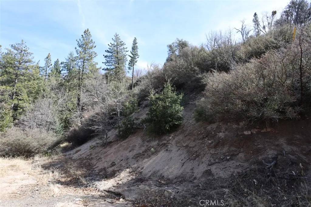 Cedar Glen, CA 92321,717 Acacia