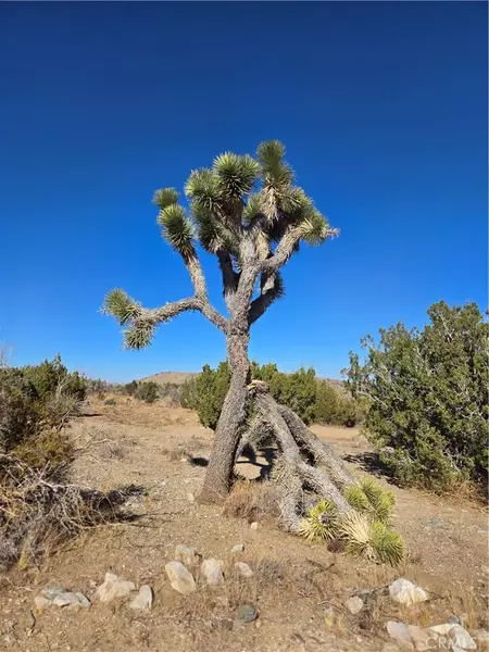 0 Murphys, Littlerock, CA 93543