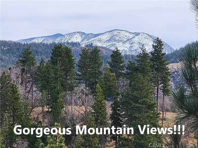 30914 Old City Creek, Running Springs, CA 92382