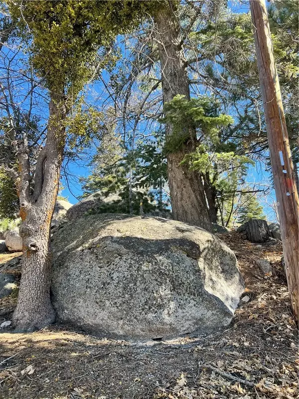 Arrowbear, CA 92382,0 Woodland Ct
