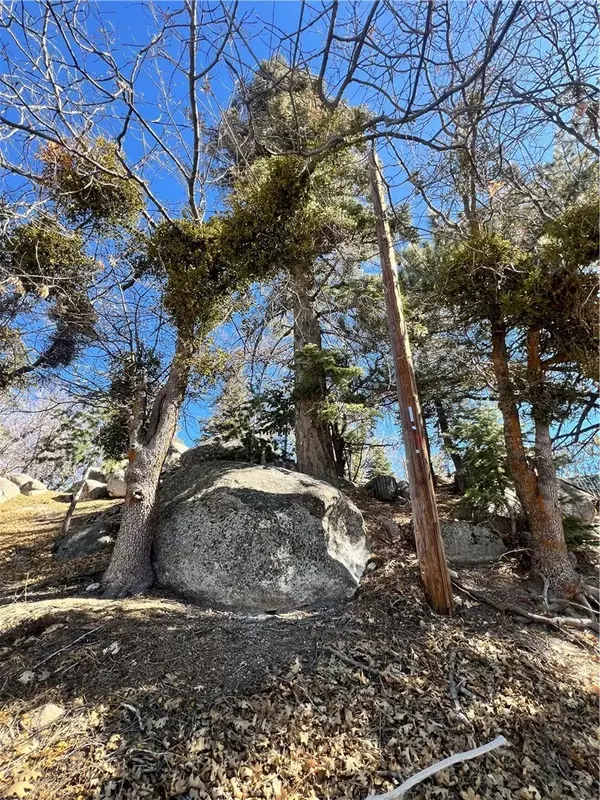 Arrowbear, CA 92382,0 Woodland Ct