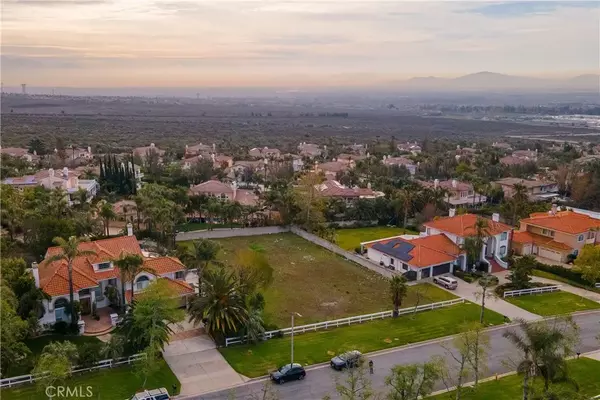 Rancho Cucamonga, CA 91737,5453 Canistel
