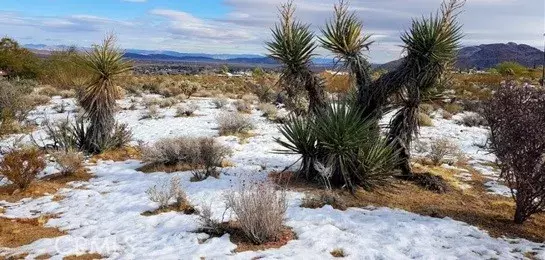 29 Palms, CA 92277,0 Desert Queen