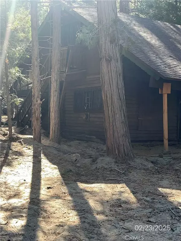 Angelus Oaks, CA 92305,9 Southfork Road