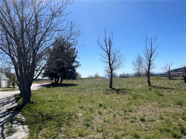 San Bernardino, CA 92407,7677 Cable Canyon Road