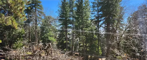 Running Springs, CA 92382,0 Preston