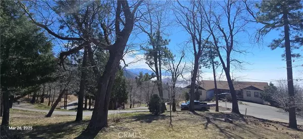 Running Springs, CA 92382,42 Park