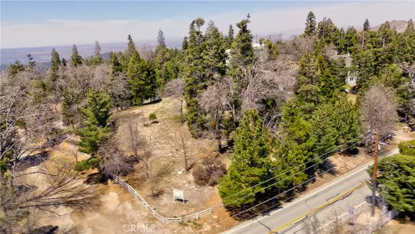 Twin Peaks, CA 92391,0 Sawmill