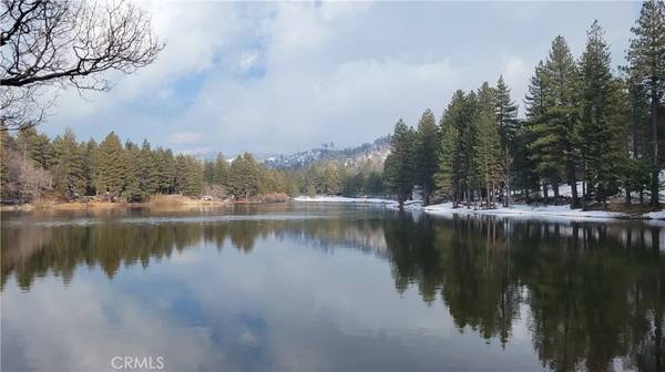 Green Valley Lake, CA 92341,32991 Canyon Drive