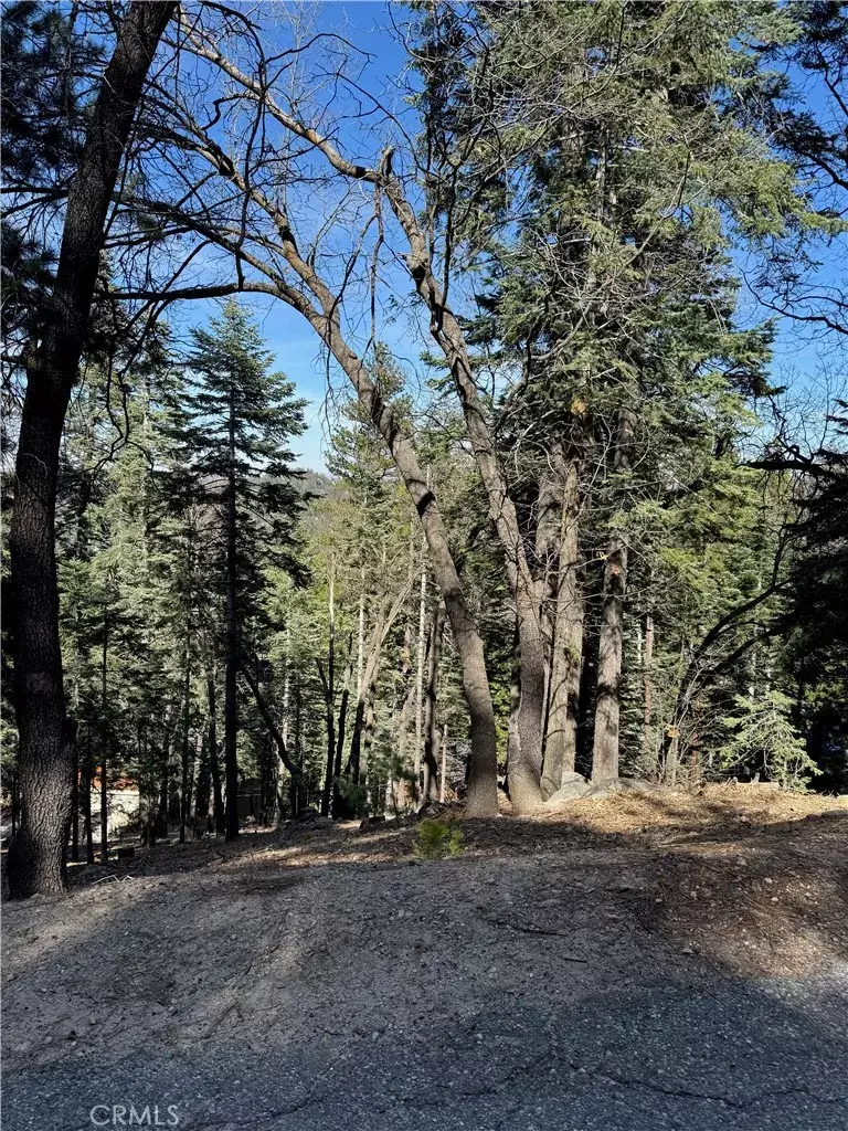 Lake Arrowhead, CA 92352,26537 Spyglass