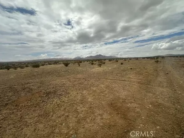 Helendale, CA 92342,0 Palomino