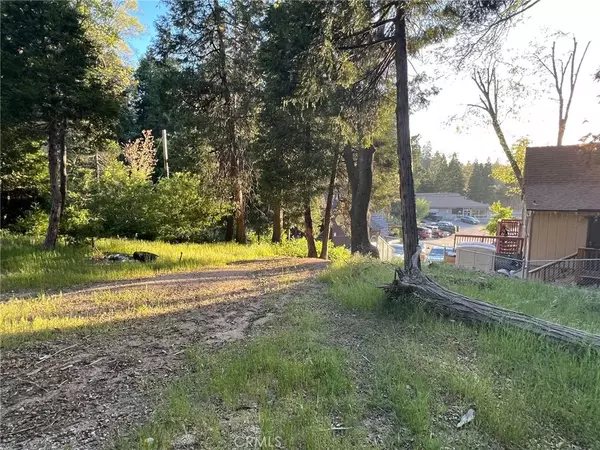 Cedar Glen, CA 92321,29038 Terrace