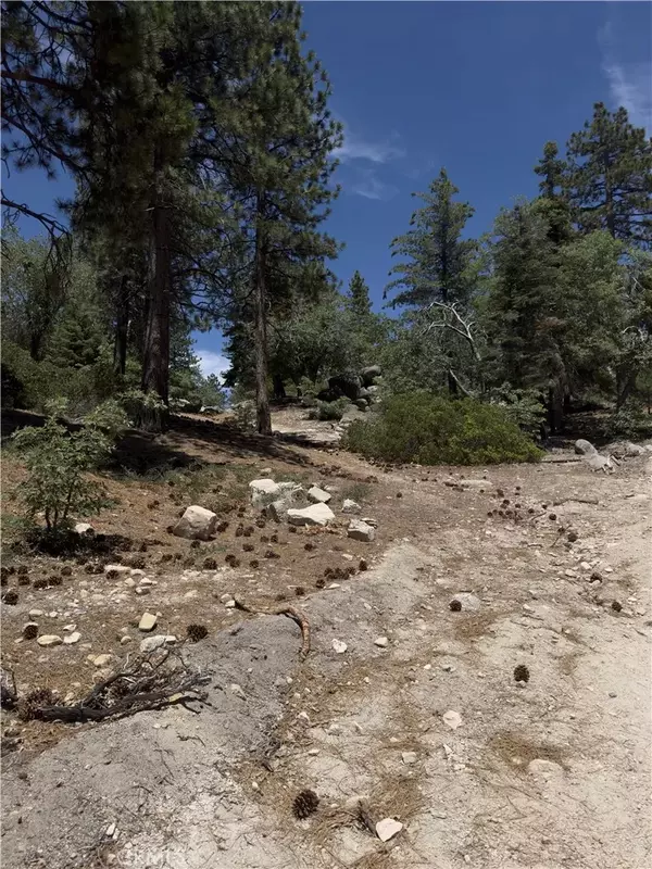 2526 Ridge, Running Springs, CA 92382