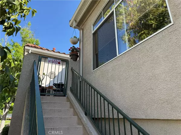 Aliso Viejo, CA 92656,225 Cinnamon Teal