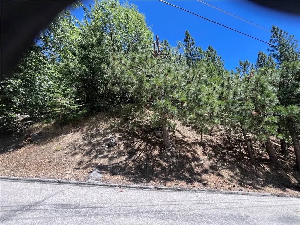 0 Cedar, Angelus Oaks, CA 92305
