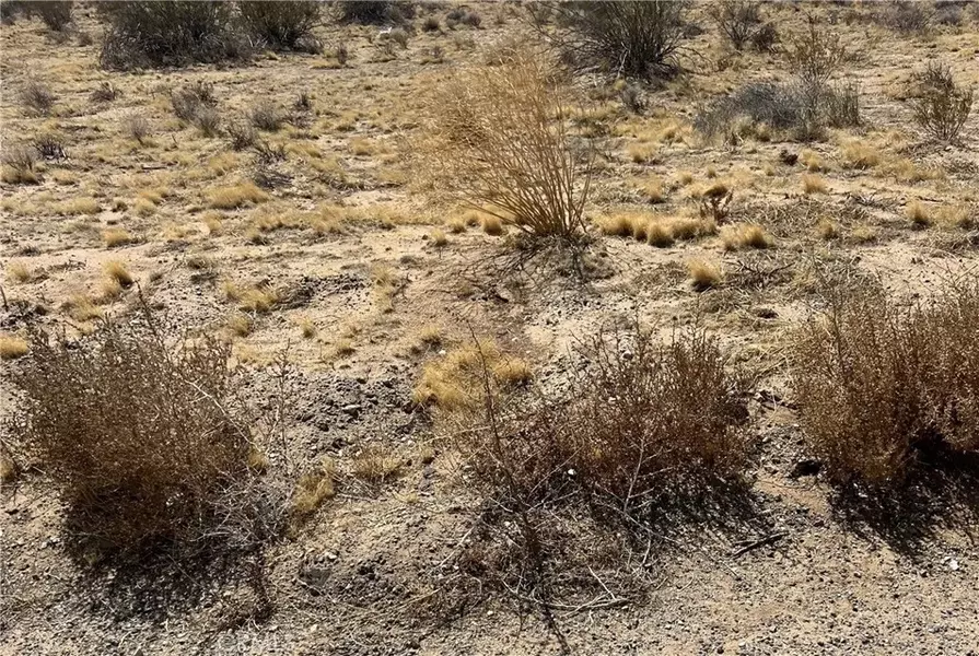 0 coachella canal, Unknown, CA 76028