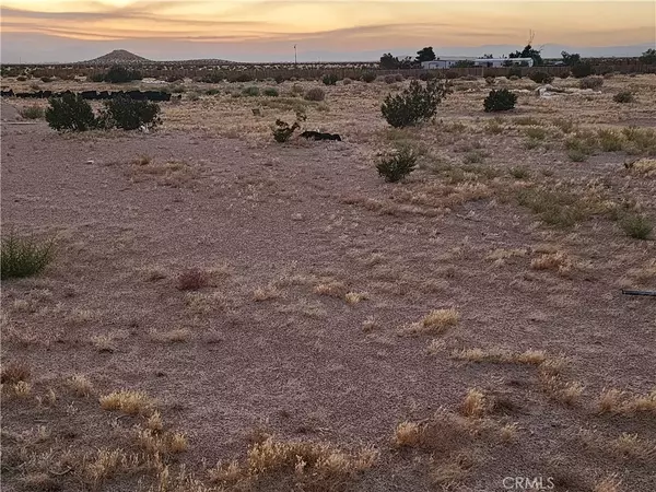 Newberry Springs, CA 92365,36955 Troy