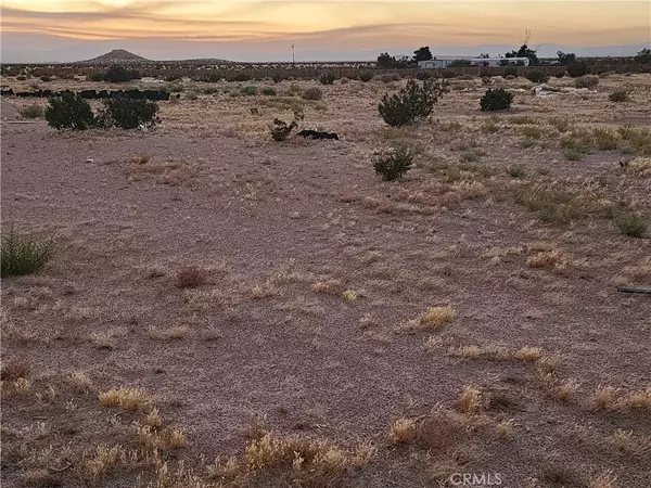 Newberry Springs, CA 92365,47701 Palma Vista