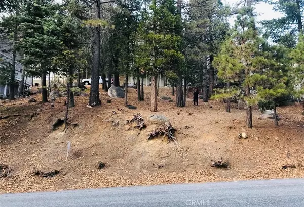 Lake Arrowhead, CA 92352,27315 Pinewood