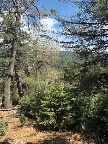 248 Old Toll, Lake Arrowhead, CA 92317