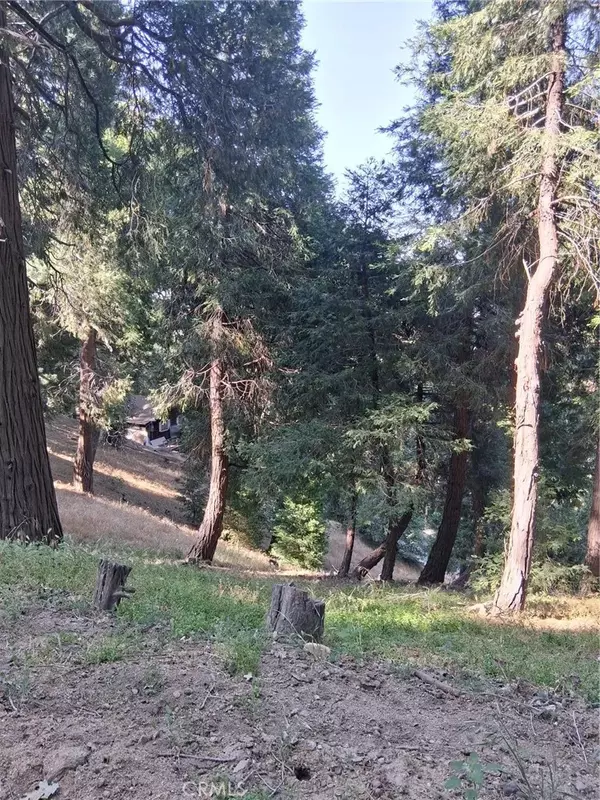 Cedarpines Park, CA 92322,61 Evergreen