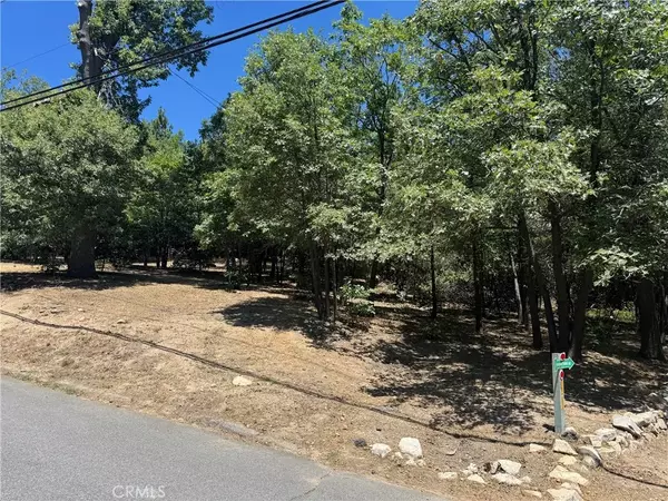 Lake Arrowhead, CA 92352,0 Lachen