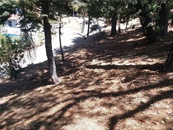 Arrowbear, CA 92382,32960 Lone Pine