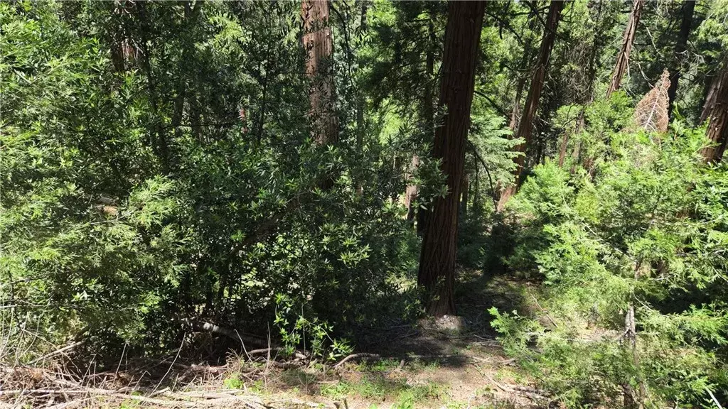 0 Deer Run, Cedarpines Park, CA 92322