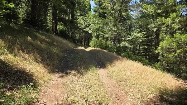 Cedarpines Park, CA 92322,0 Deer Run