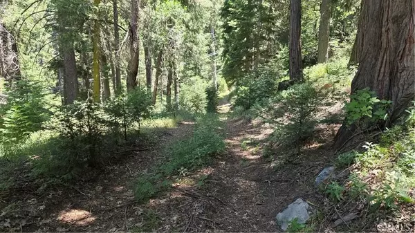 Cedarpines Park, CA 92322,0 Deer Run