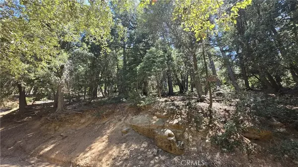 Cedarpines Park, CA 92322,0 Mojave River