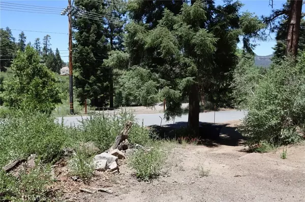 Big Bear Lake, CA 92315,1013 Knickerbocker