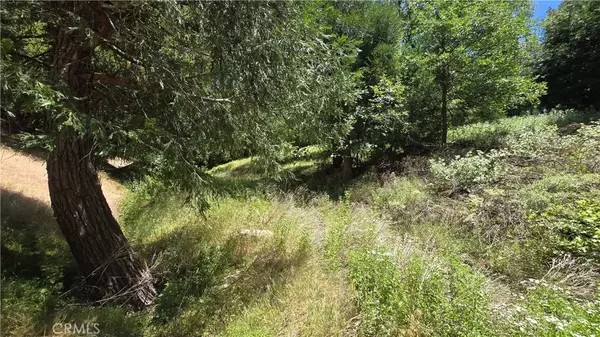 Cedarpines Park, CA 92322,0 Mojave River