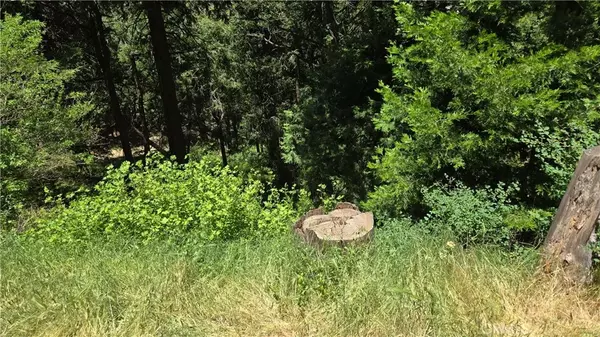 Cedarpines Park, CA 92322,0 Cedar Pines