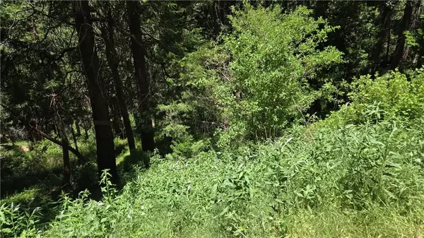 Cedarpines Park, CA 92322,0 Cedar Pines