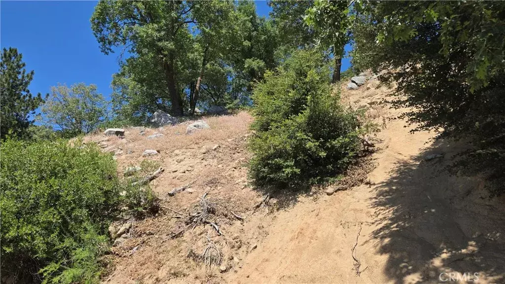 Crestline, CA 92325,0 Edelweiss