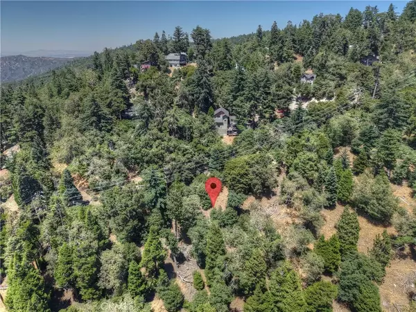Twin Peaks, CA 92391,0 Pine